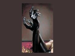 Paire De Longs Gants Noirs En Vinyl