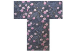 Happi Femme "sakura & Nuages" - Noir