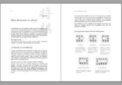 Shogi, L'art Des échecs Japonais -Déco Japonaise Soldes shogi art echecs japonais praxeo 5